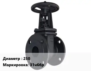 Задвижка чугунная 250 31ч6бр